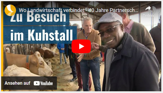 senegalesen im kuhstall1