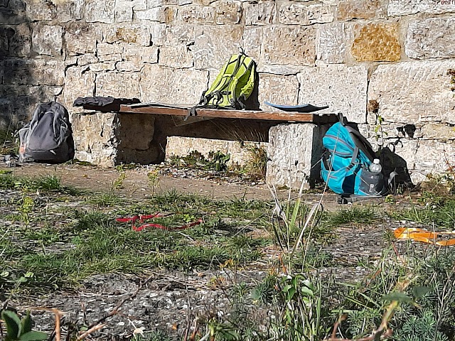 Die Natur als Sprachraum Gottes